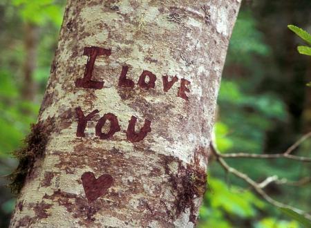 a lotttttttttttttttttttt